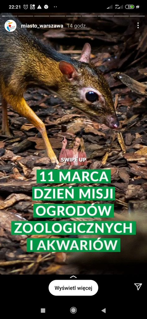 Relacja na Instagramie. 10 pomysłów, aby zwiększyć zaangażowanie